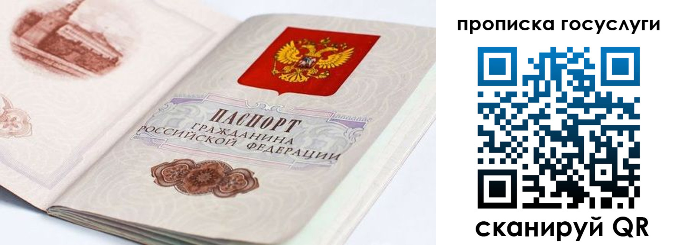 прописка гарантия в Железногорске